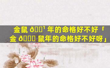 金鼠 🌹 年的命格好不好「金 🐕 鼠年的命格好不好呀」